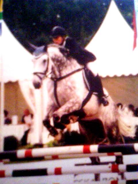 Biete Reitunterricht und Beritt, günstig  - Pferde - Solingen