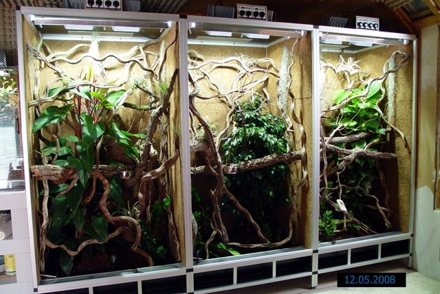 3 Großterrarien zu verkaufen - Terrarien - Neuler