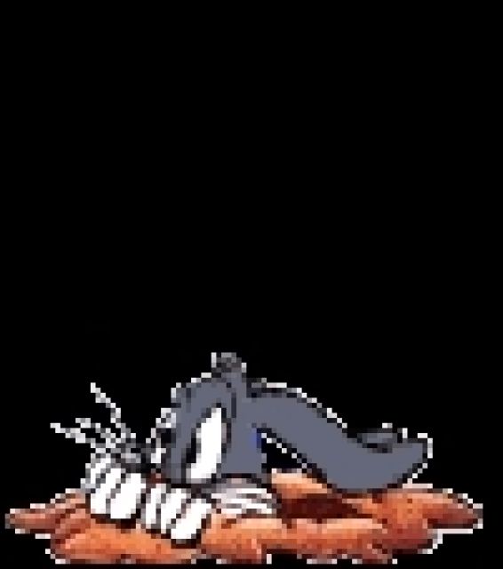 Zwergkaninchen - Hasen Kaninchen - Mönchengladbach