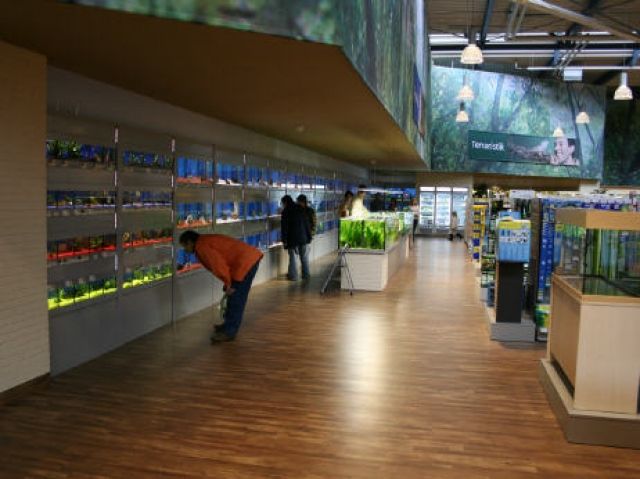 Große Aquaristikabteilung im Zooerlebnismarkt in Siegen - Fische - Siegen