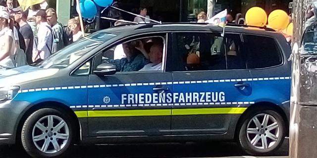 Zwei Meerschweinchen zu verkaufen.  - Meerschweinchen - Schleswig 