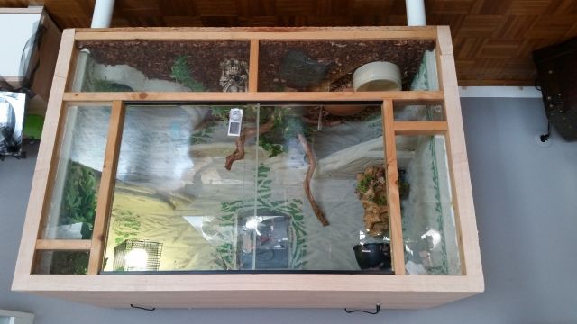 Terrarium mit cornnatter  - Aquarien und Zubehoer - Ilvesheim 