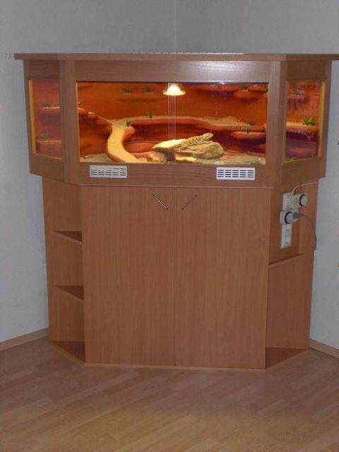 Verkaufe Eckterrarium - Reptilien - Haslach