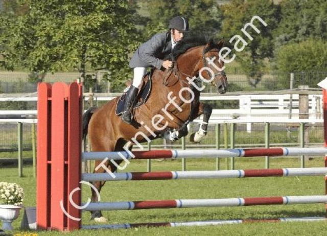 Caretino x Silbersee Wallach, Springpferd:  - Pferde - wölfersheim