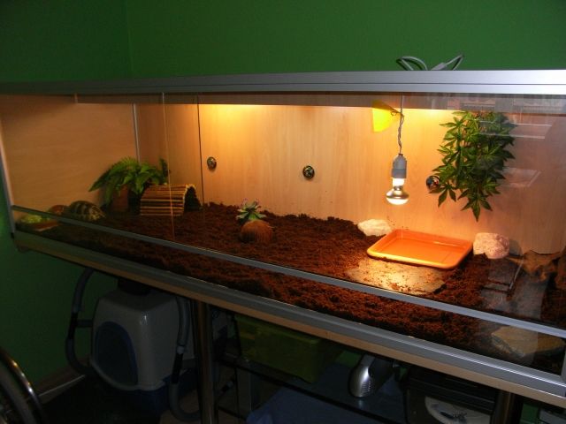 XL Terrarium mit Untertisch - Terrarien - Berlin - Hohenschönhausen