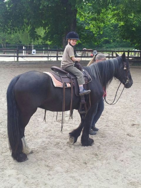 Pony Kurs Gelsenkirchen - Reitbeteiligung - Gelsenkirchen
