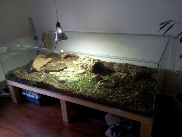 Großes Terrarium - Terrarien - Wuppertal