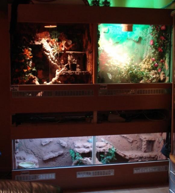 Großes Terrarium zu verkaufen  - Terrarien - Wiesbaden