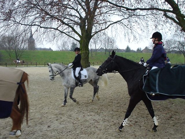 17 jährige Junioren Reiterin sucht Pferd was sie zur Verfügung gestellt bekomm - Pferde - dorsten