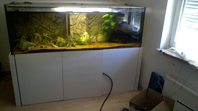 Aquarium ca 800 Liter - Aquarien und Zubehoer - München