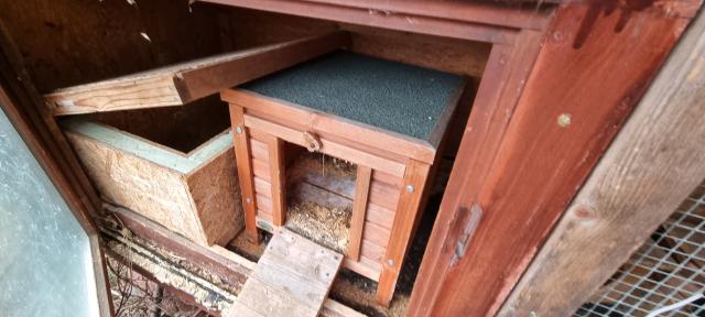 Meerschweinchen Außenstall mit Zubehör abzugeben - Zubehoer für Haustiere - Troisdorf