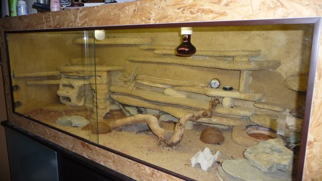 Wüstenterrarium 160x60x60  - Terrarien - Triefenstein
