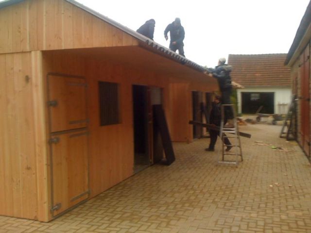  Pferdestall den man sich leisten kann - Reitbeteiligung - Hohberg