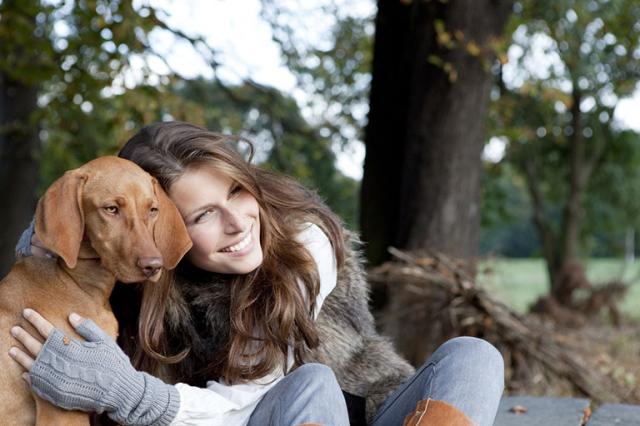 Werde Ernährungsberater*in Hund - Zubehoer für Haustiere - Vettweiß - Dirlau