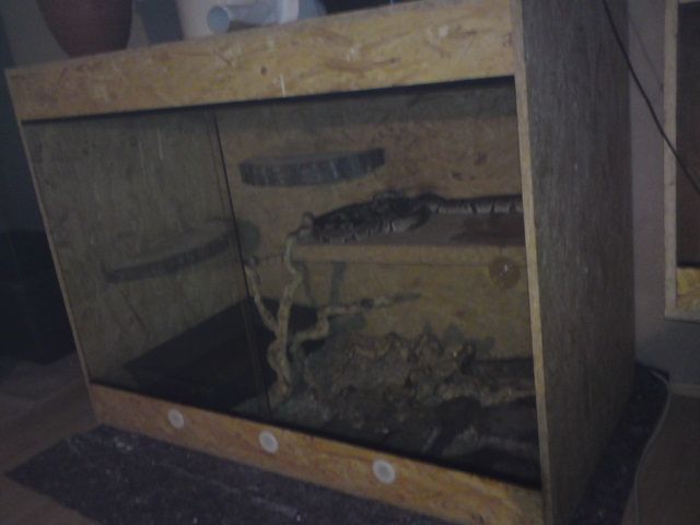 Holzterrarium - Terrarien - Kirmsees