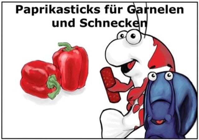 Parikasticks 100g Garnelenfutter für Garnelen Krebse Welse - Aquarien und Zubehoer - Delmenhorst