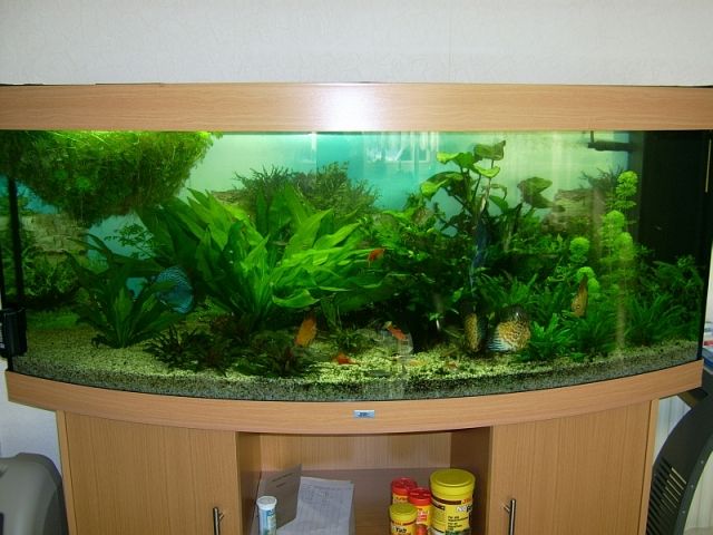 Neues Aquarium Juwel Vision 450 buche - Aquarien und Zubehoer - Hamm