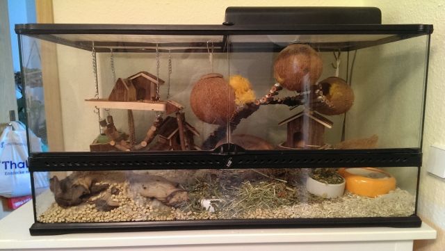 Terrarium/ Kleintierglaskäfig 90cmx50cmx55cm mit Heizplatte - Terrarien - Zwickau