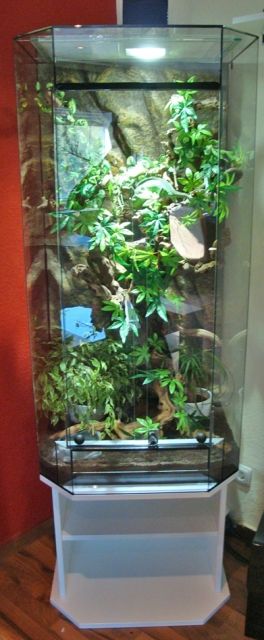 Terrarien TOP-Qualität und TOP Preise sofort zum mitnehmen - Reptilien - Dillingen
