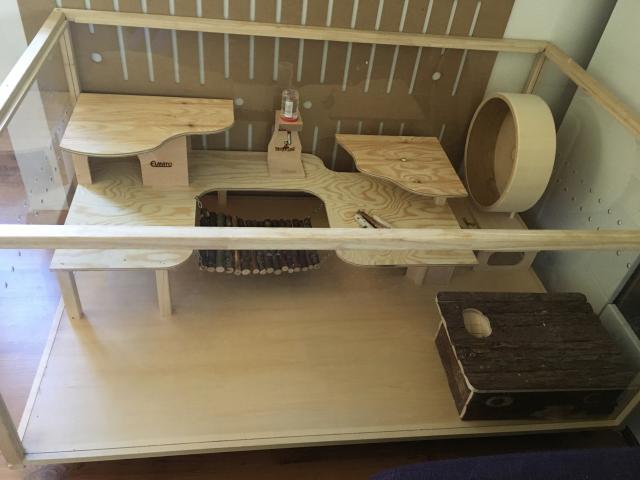 SUCHE Hamster - Hamster - Wolfsegg