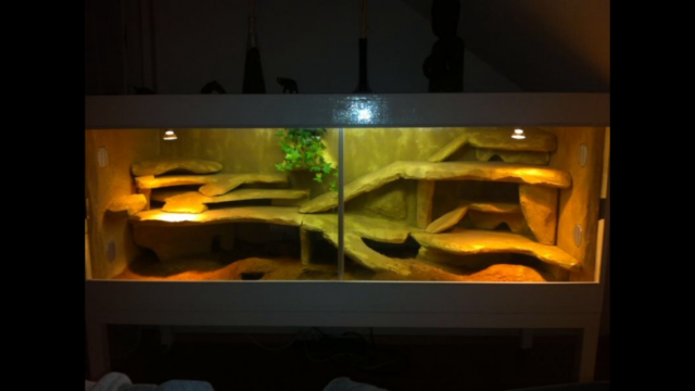 Großes Terrarium abzugeben  - Reptilien - Leonberg 